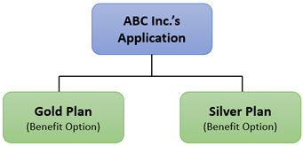 Diagram illustrating an example of one application with multiple benefit options.