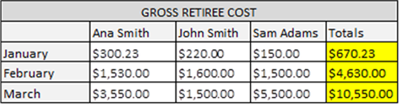 Illustration of a table containing sample total Gross Retiree Costs data for sample members Ana Smith, John Smith, and Sam Adams.