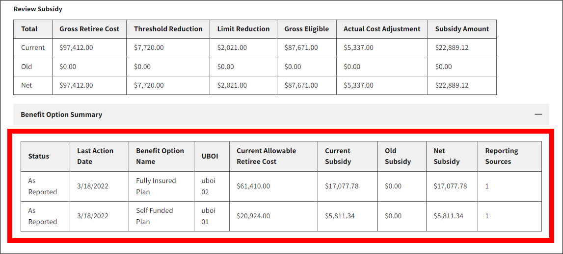Review and Submit page with sample data. Benefit Option Summary section is expanded, and Benefit Option Summary table is highlighted.